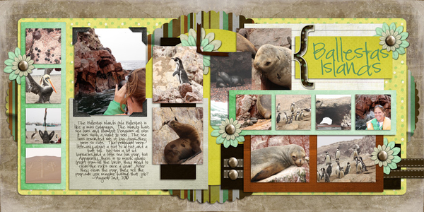 Peru - Ballestas Islands