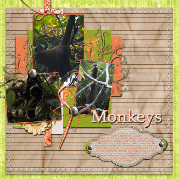 Peru - Monkeys in the Jungle