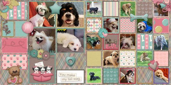 Pet History