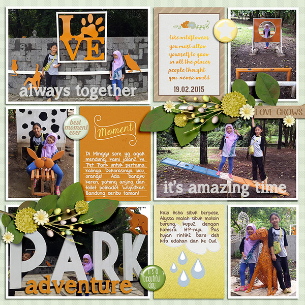 Pet Park