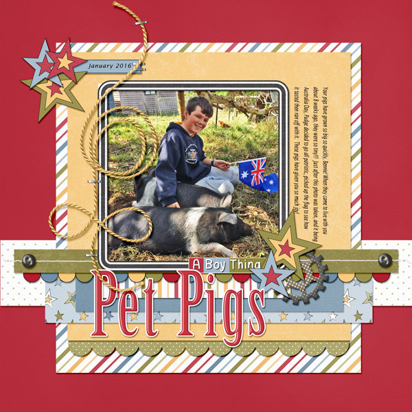 Pet Pigs