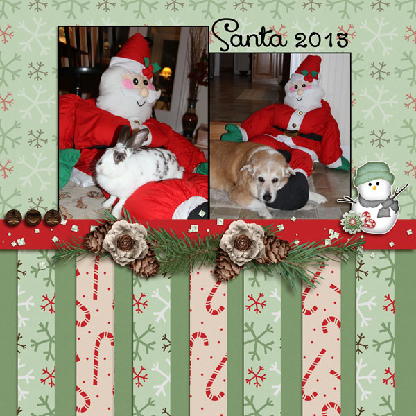 Pet Santa 2013