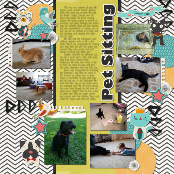 Pet Sitting