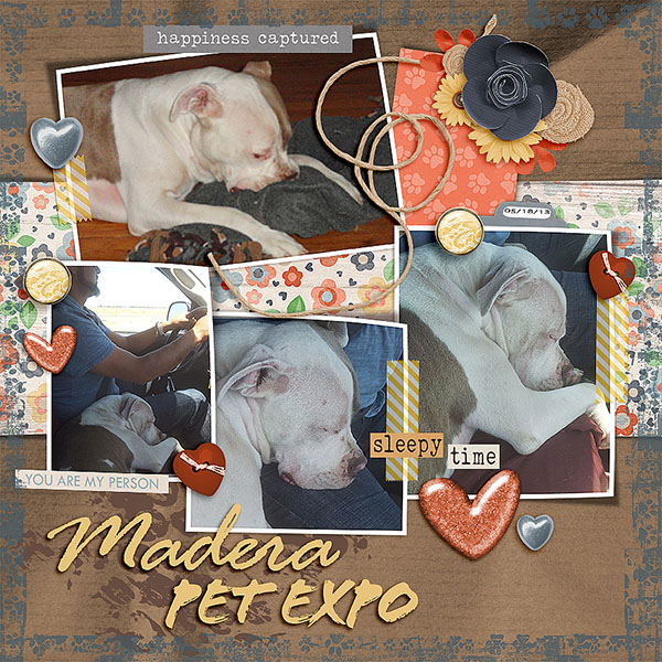 Pet_Expo