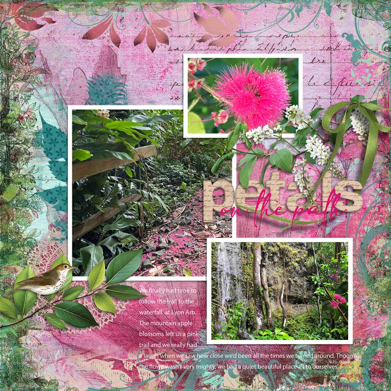Petals-on-the-Path-webv.jpg