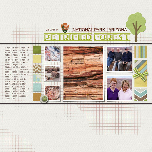 Petrified Forest