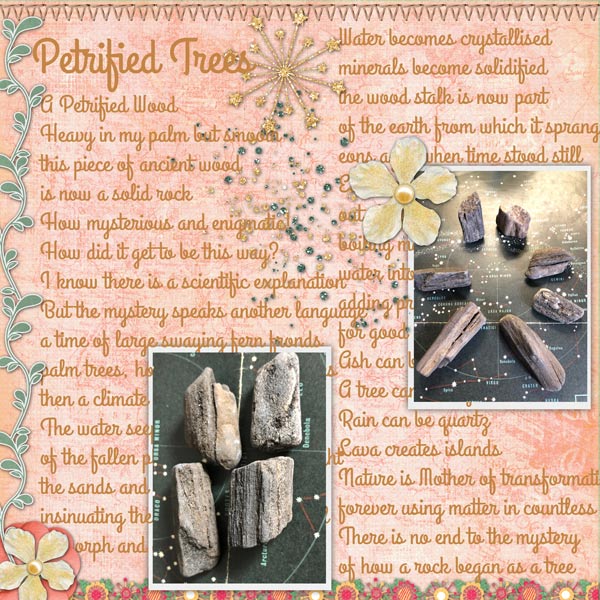 Petrified Trees