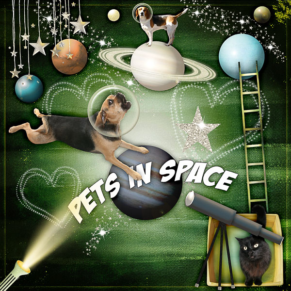 Pets in Space