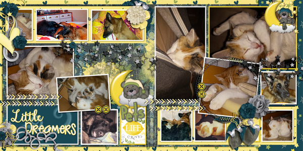 Pets Life