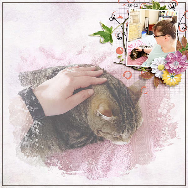 Pets
