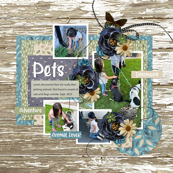 Pets