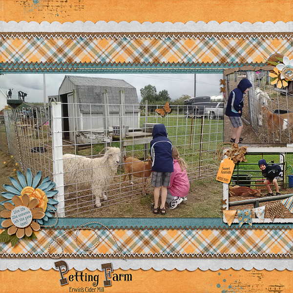 Petting Farm