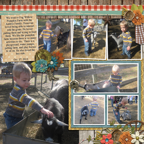 petting goats