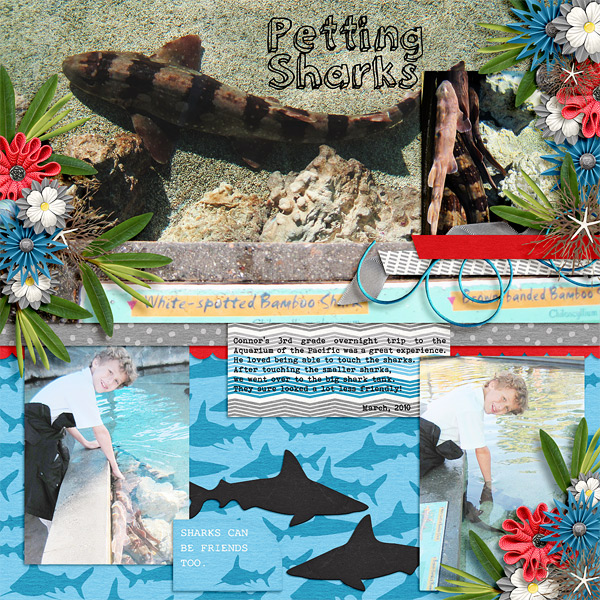 Petting Sharks