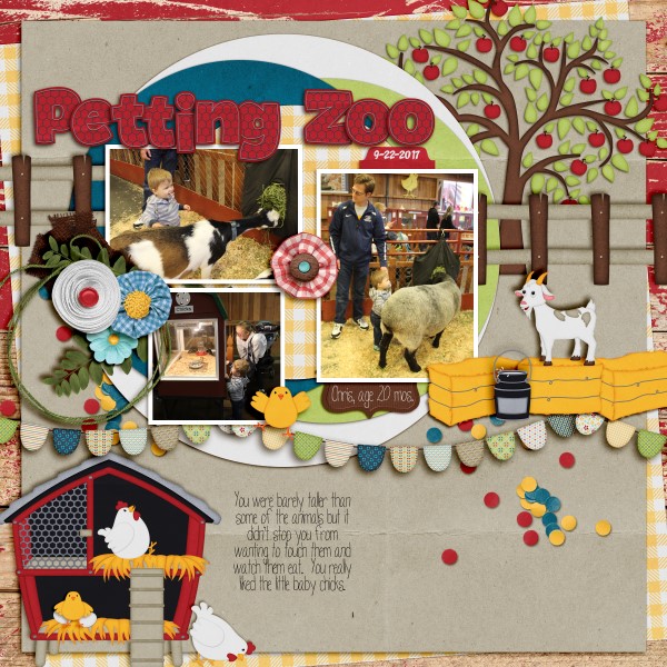 Petting Zoo at the Fair 2017