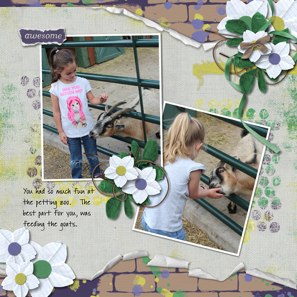 Petting Zoo