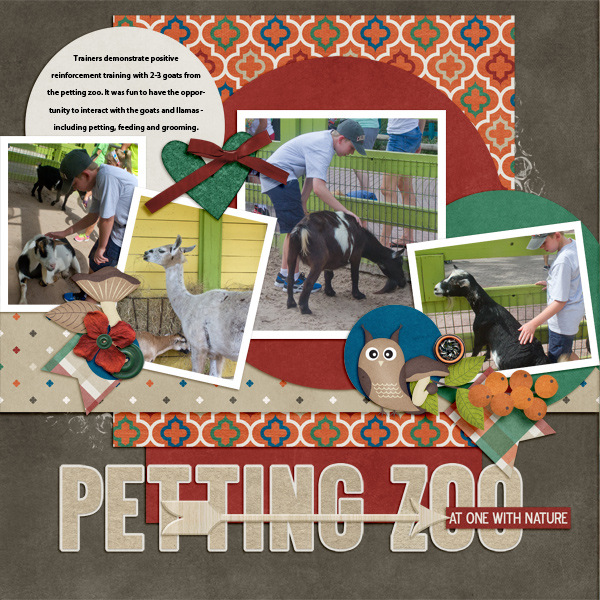 Petting Zoo