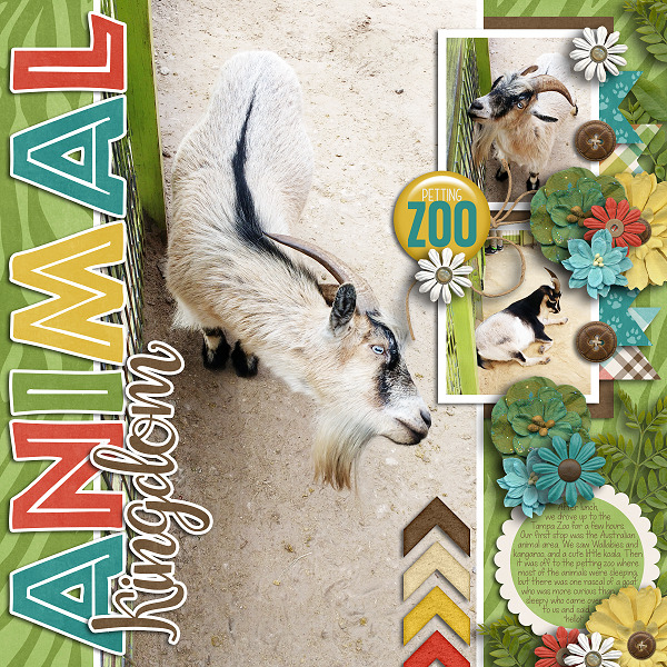 Petting Zoo