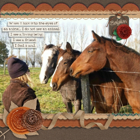 Petting Zoo