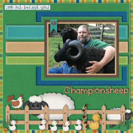 Petting Zoo