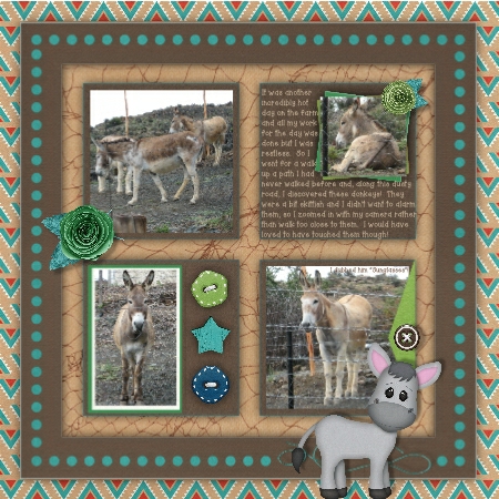 Petting Zoo