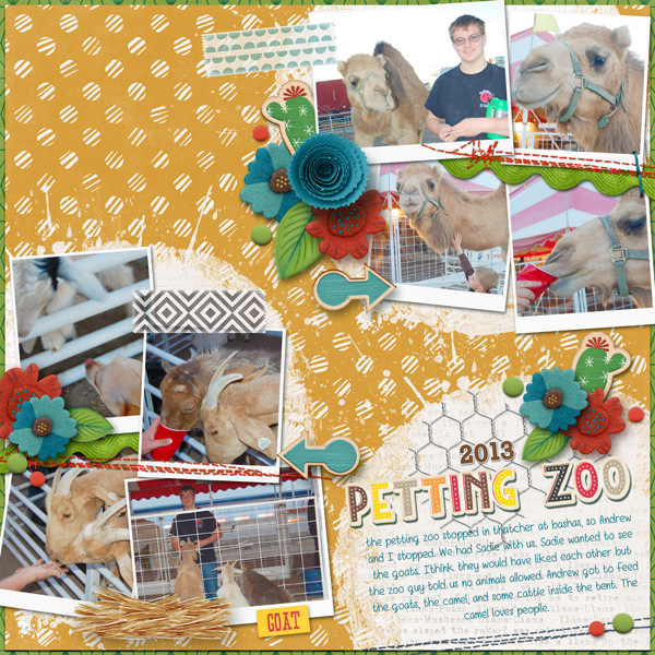 Petting Zoo