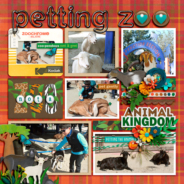 petting zoo