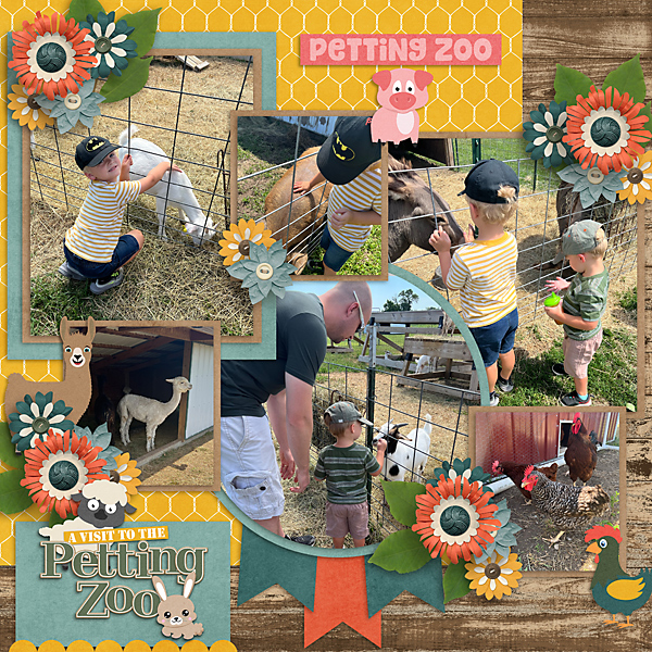 Petting Zoo