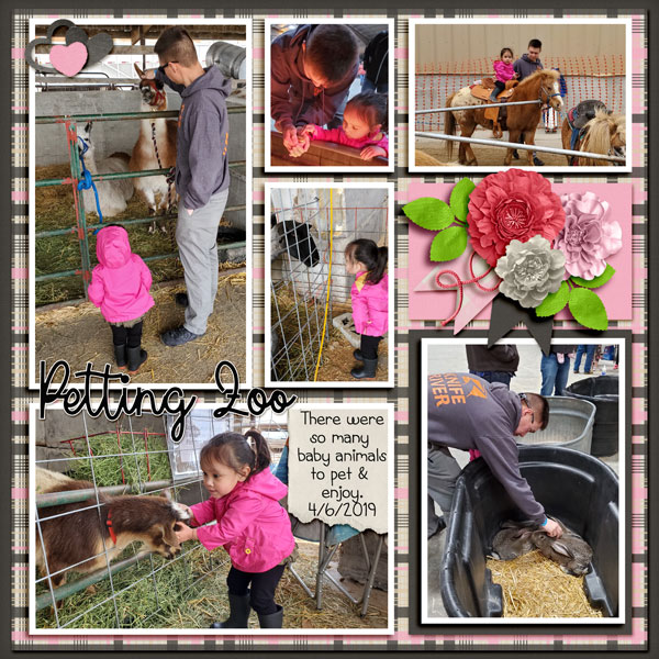Petting Zoo
