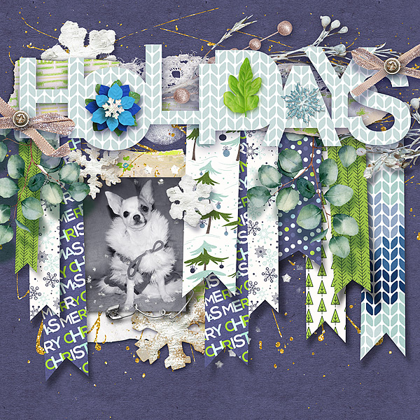 Petunia Holiday