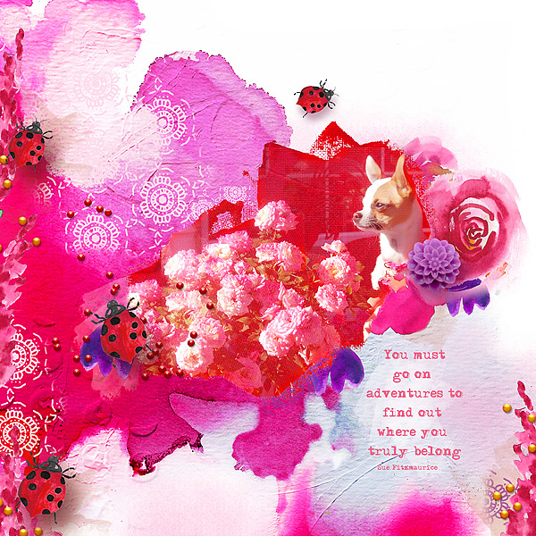 Petunia Roses