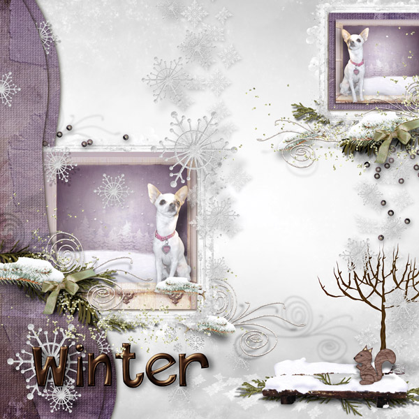 Petunia Winter