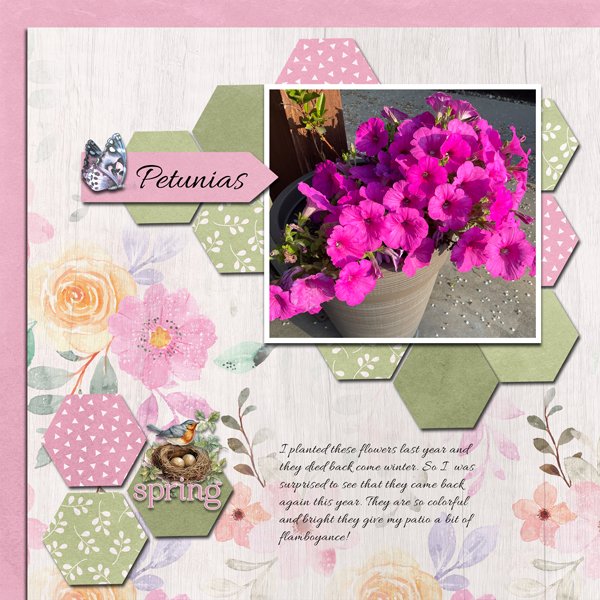 Petunias