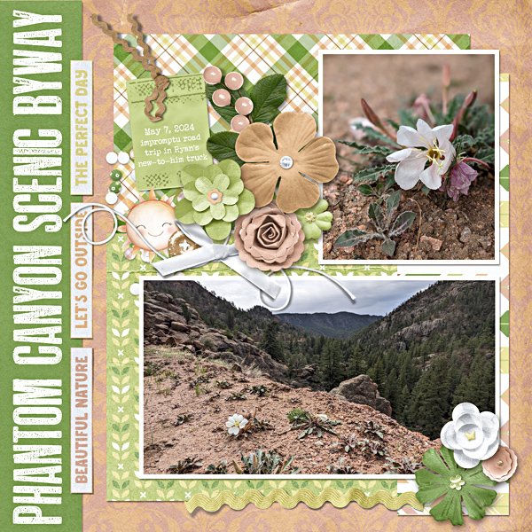 Phantom Canyon flowers