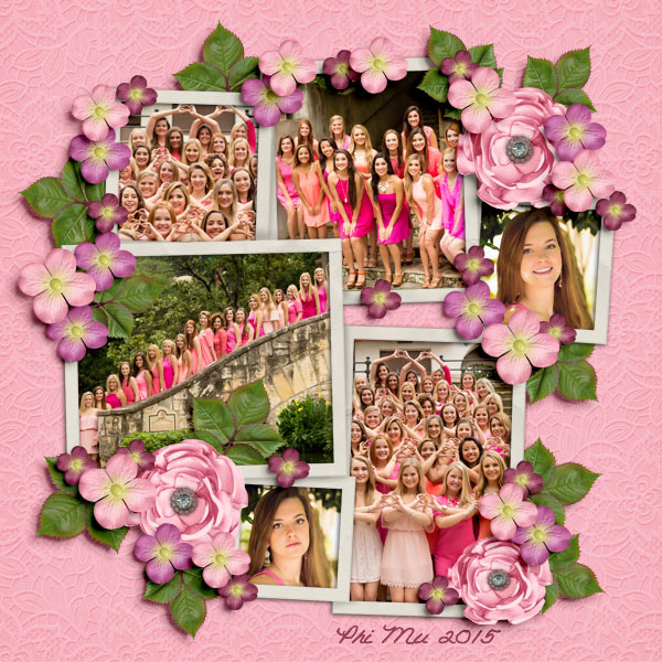 Phi Mu Portraits 2015