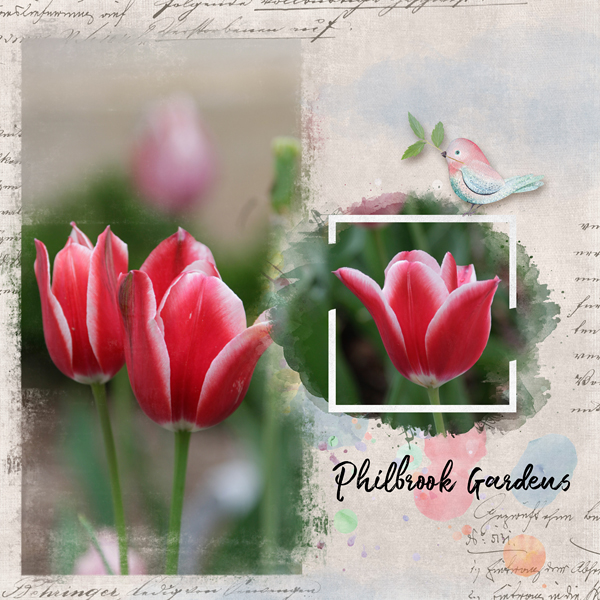 Philbrook Gardens