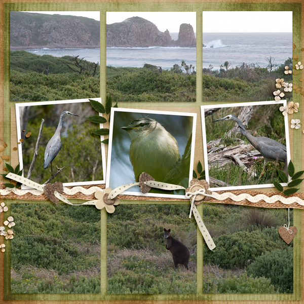 Phillip Island Nature