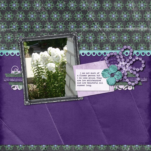 Phlox