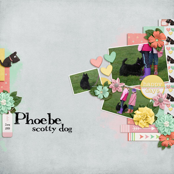 Phoebe