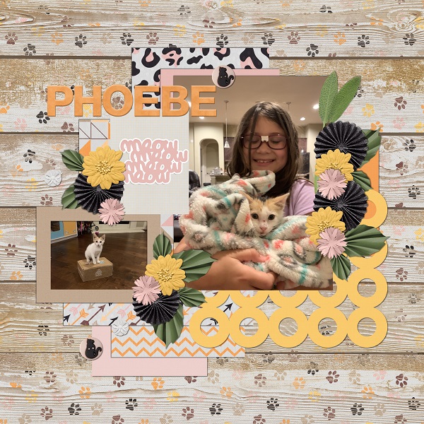 Phoebe