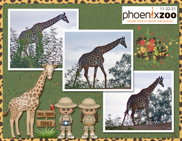 Phoenix Zoo giraffe