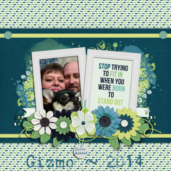 Photo Bombed