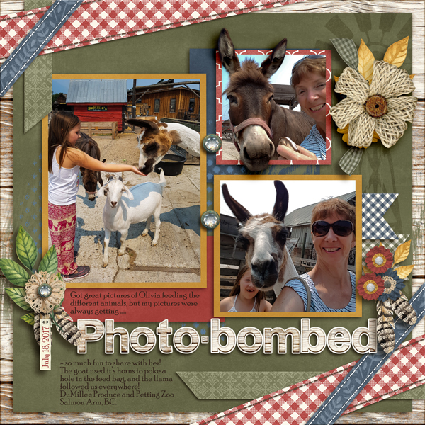 Photo-bombed!