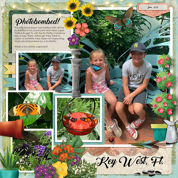 Photobombed- Key West, Fl