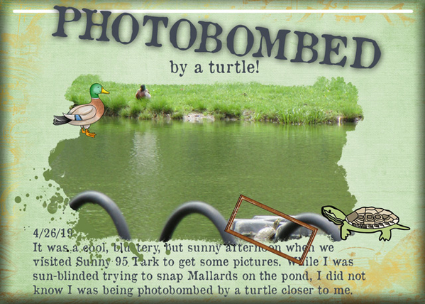 Photobombed