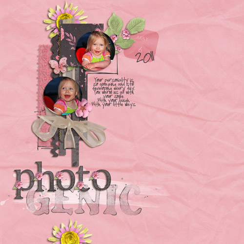 photogenic-web