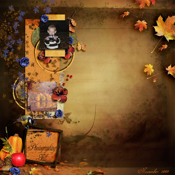 Photographing Fall