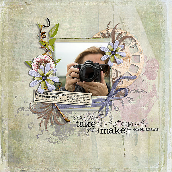 photographs