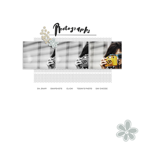 photographs