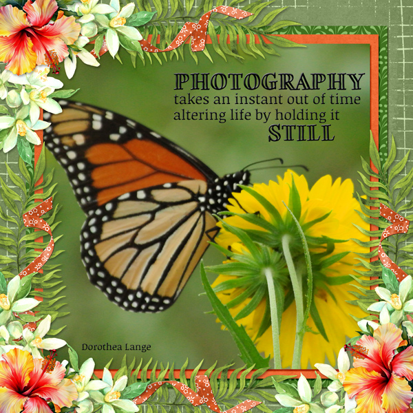 PHOTOGRAPHY takes an instant out of time ...